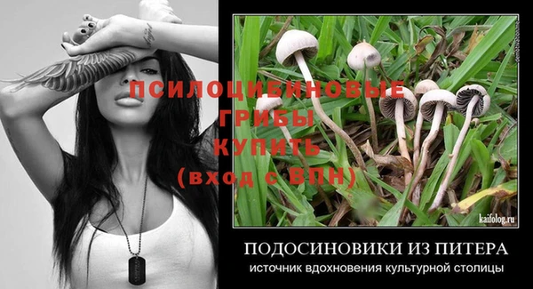 спайс Алексеевка
