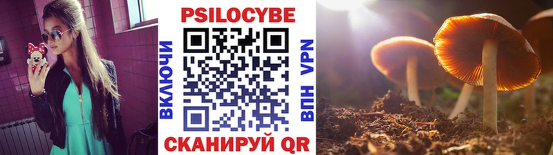 цена   блэк спрут зеркало  Псилоцибиновые грибы GOLDEN TEACHER  Венёв 